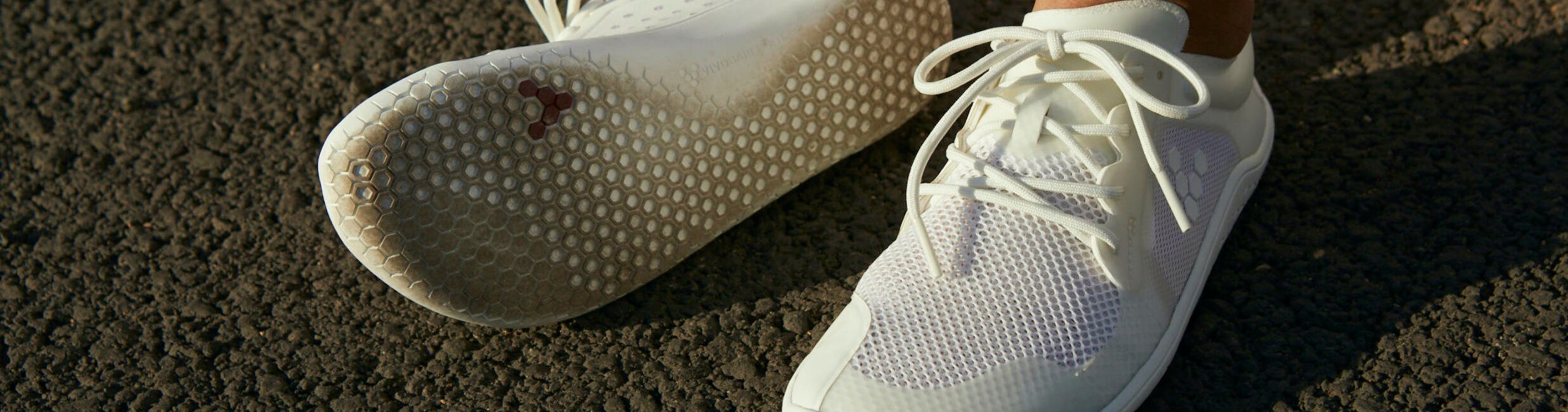 191118_Vivo_2042 copy-1 191118_Vivo_2042 copy-1