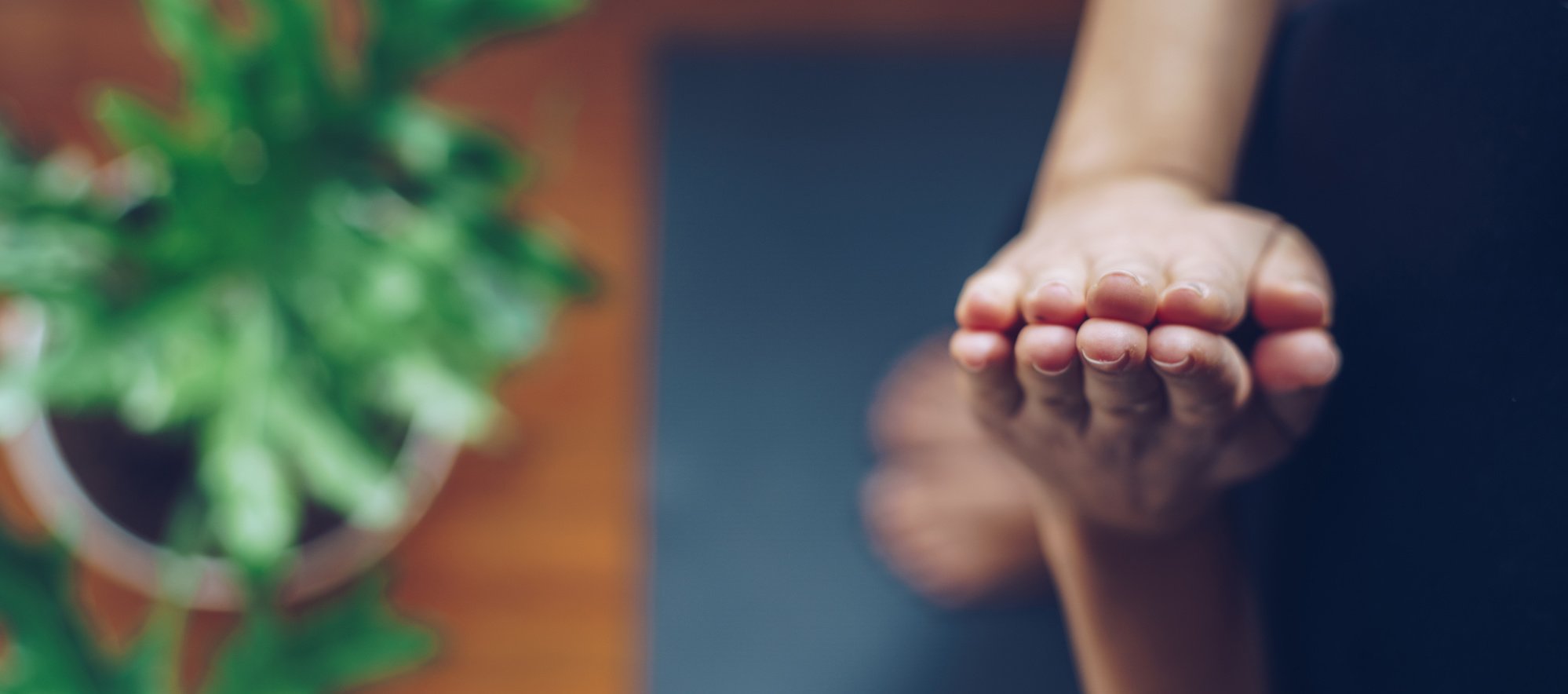 AdobeStock_191510103-2