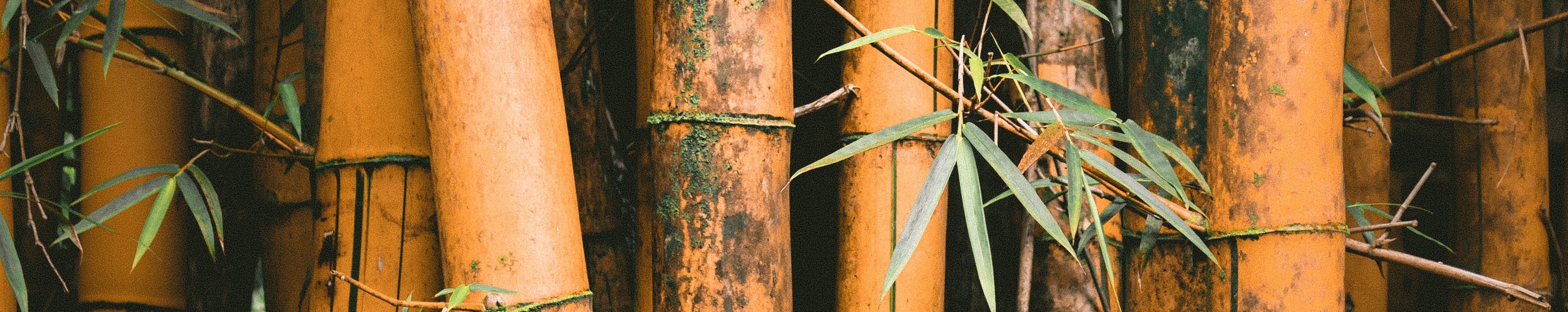 Bamboo cover Bamboo cover