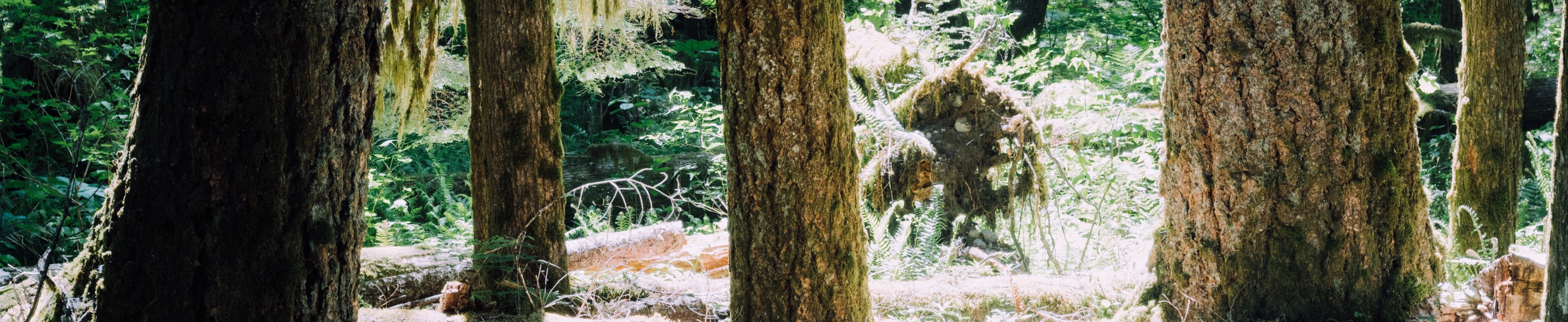 hatham-XP325_puxBI-unsplash-1