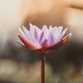 pimage-20029-260-photo-1-1