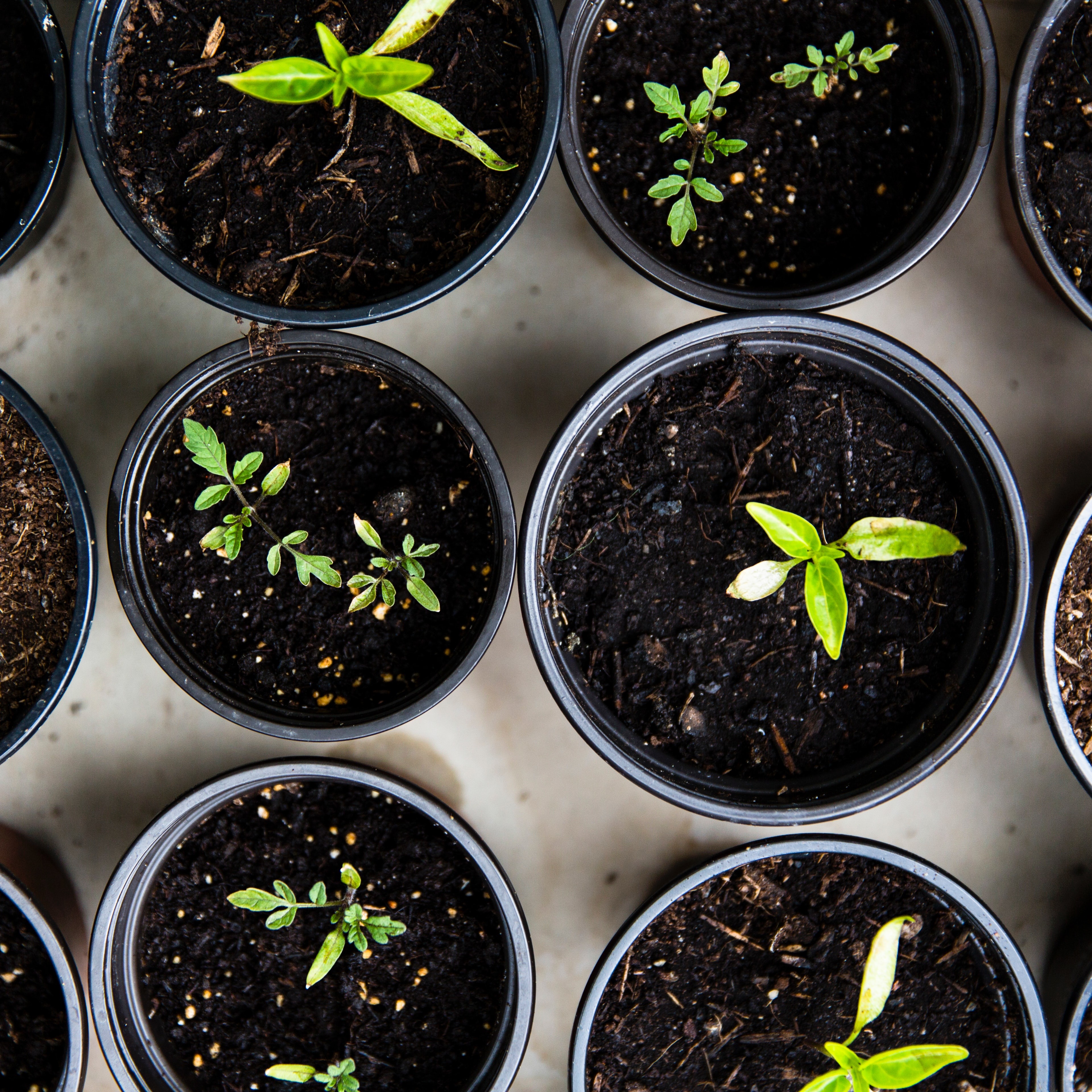 markus-spiske-4PG6wLlVag4-unsplash